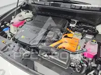 2024 KIA Niro