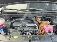 2024 KIA Carnival