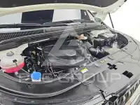 2024 KIA Carnival
