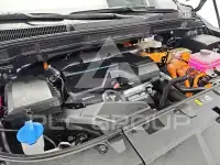 2024 KIA Carnival
