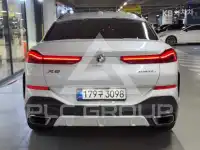 2025 BMW X6