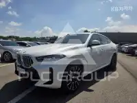 2025 BMW X6
