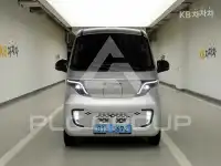 2025 Other 