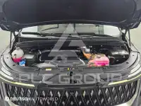 2025 KIA Carnival