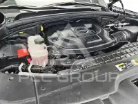 2025 KIA Carnival