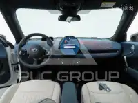 2025 Mini Paceman