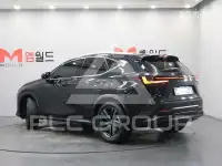 2025 Lexus NX