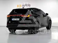 2025 Lexus NX