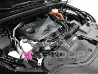 2025 Lexus NX