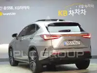 2025 Lexus NX