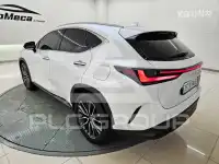 2025 Lexus NX