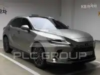 2025 Lexus RX