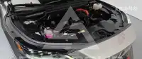 2025 Lexus RX
