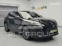 2025 Lexus RX