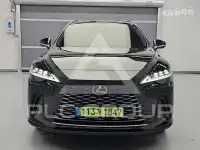 2025 Lexus RX