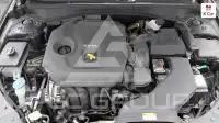 2019 KIA K5