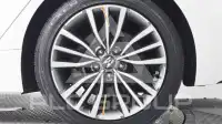 2019 KIA Stinger