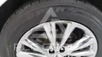 2019 KIA Carnival