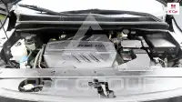 2019 KIA Carnival