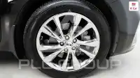 2019 KIA Carnival