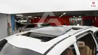 2019 KIA Carnival