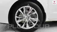 2019 KIA Carnival