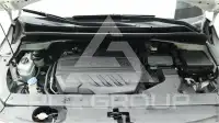 2019 KIA Carnival