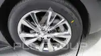 2020 KIA Carnival