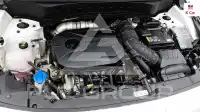 2022 KIA Celltos