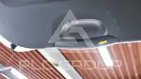 2022 KIA Carnival