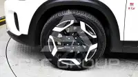 2023 KIA Celltos