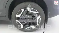 2025 KIA Celltos