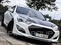 2010 Hyundai Genesis