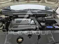 2013 KIA Carnival