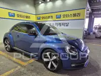 2013 Volkswagen BEETLE