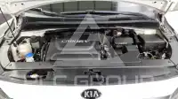 2016 KIA Carnival