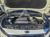 2017 KIA Carnival