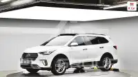 2017 Hyundai Maxcruz
