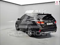 2017 Hyundai Maxcruz