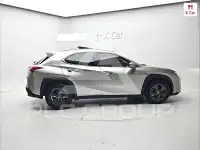 2019 Lexus UX