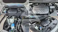 2019 KIA Carnival