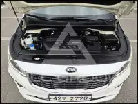 2019 KIA Carnival