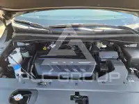 2019 KIA Carnival