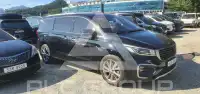 2019 KIA Carnival