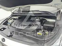 2019 KIA Carnival