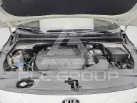 2019 KIA Carnival