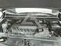 2019 KIA Carnival