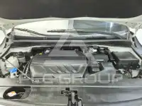 2019 KIA Carnival