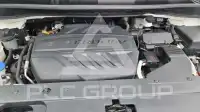 2019 KIA Carnival