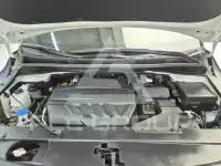 2019 KIA Carnival